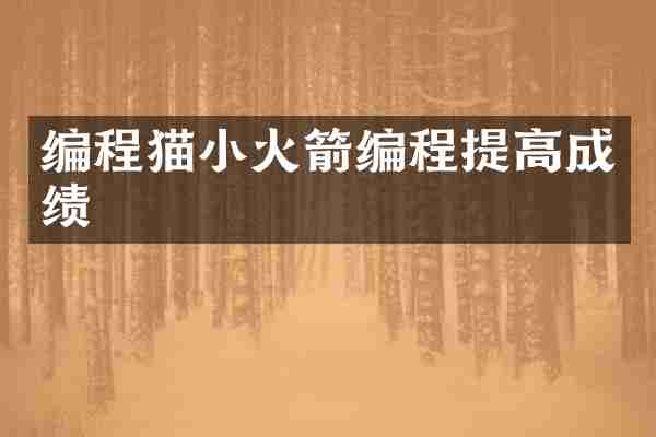 编程猫小火箭编程提高成绩