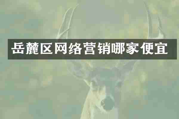 岳麓区网络营销哪家便宜