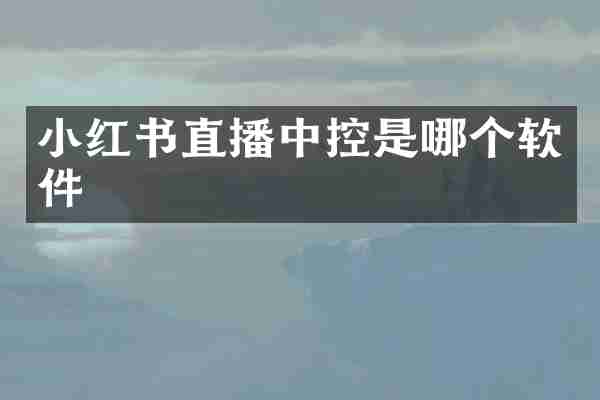 小红书直播中控是哪个软件