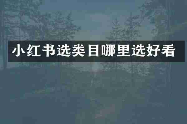 小红书选类目哪里选好看