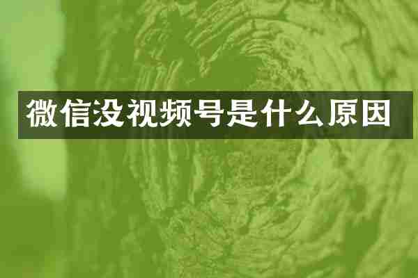 微信没视频号是什么原因