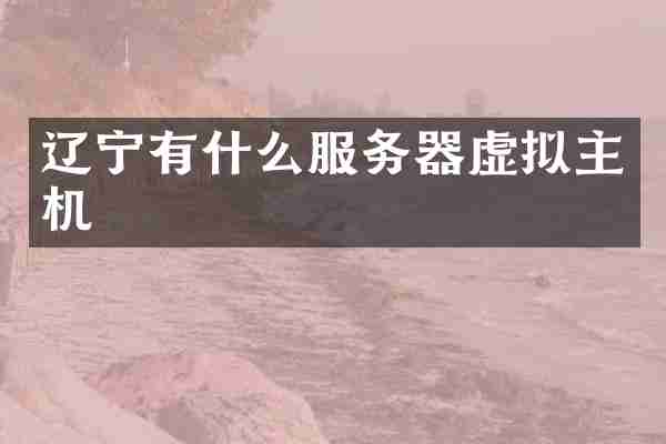 辽宁有什么服务器虚拟主机