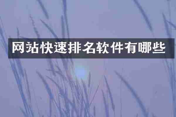 网站快速排名软件有哪些