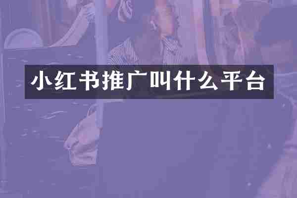 小红书推广叫什么平台