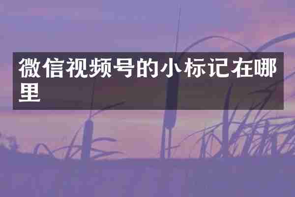 微信视频号的小标记在哪里