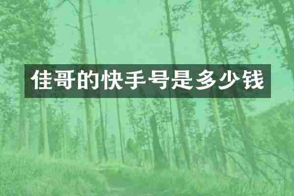 佳哥的快手号是多少钱