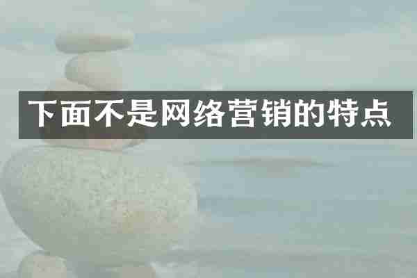 下面不是网络营销的特点