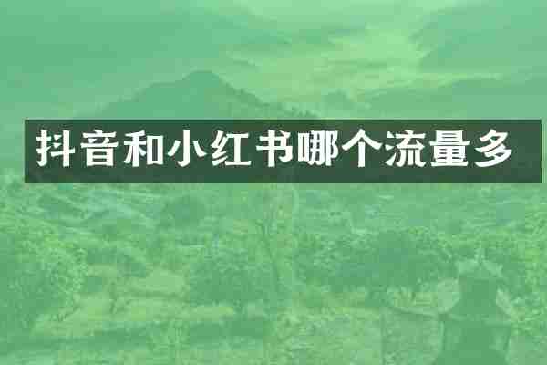抖音和小红书哪个流量多