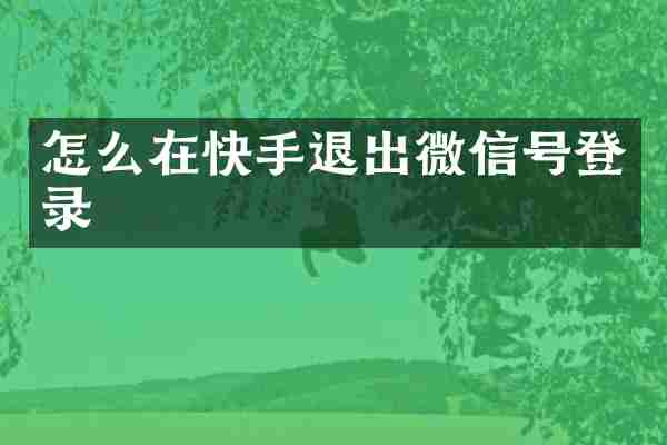 怎么在快手退出微信号登录