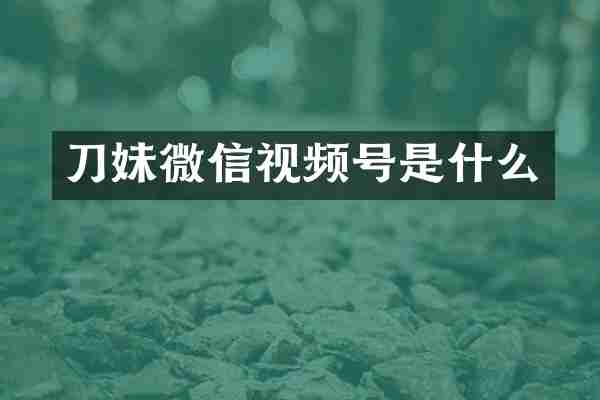 刀妹微信视频号是什么