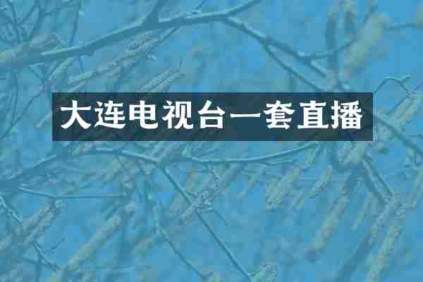 大连电视台一套直播