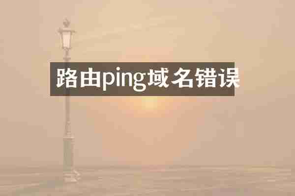 路由ping域名错误