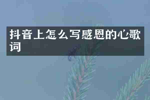 抖音上怎么写感恩的心歌词