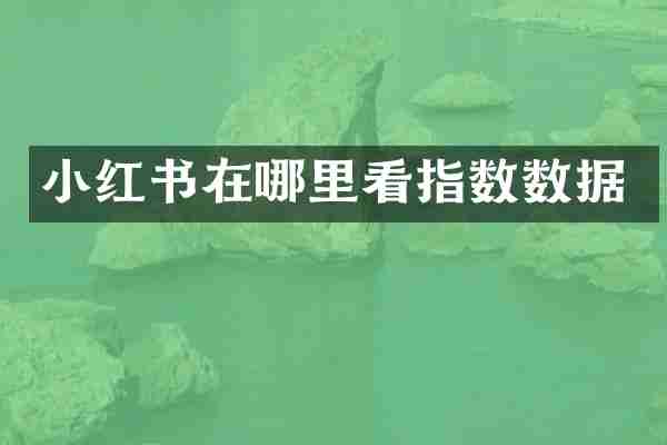 小红书在哪里看指数数据