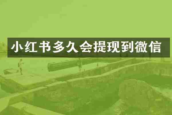 小红书多久会提现到微信