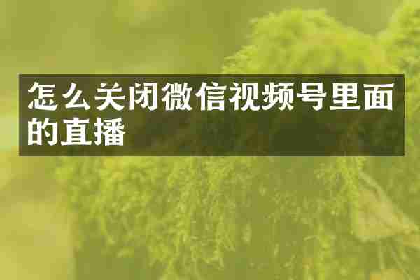 怎么关闭微信视频号里面的直播