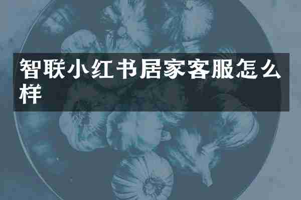 智联小红书居家客服怎么样
