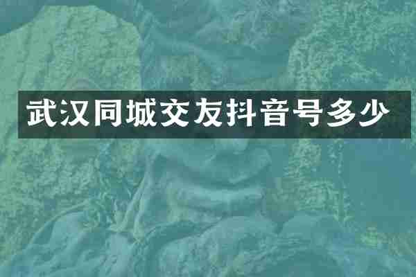 武汉同城交友抖音号多少