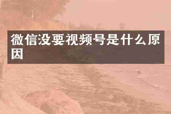微信没要视频号是什么原因