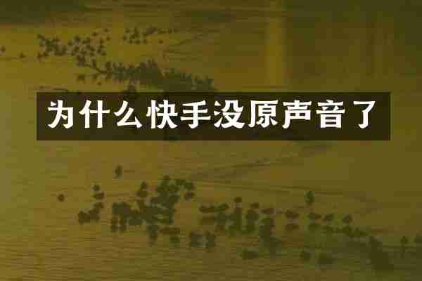 为什么快手没原声音了