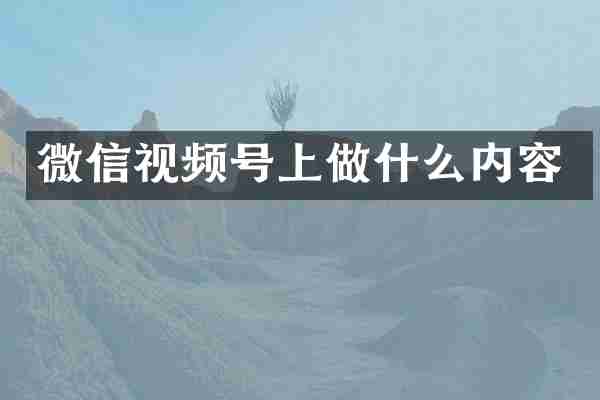 微信视频号上做什么内容