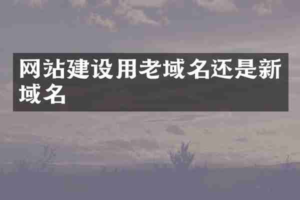 网站建设用老域名还是新域名
