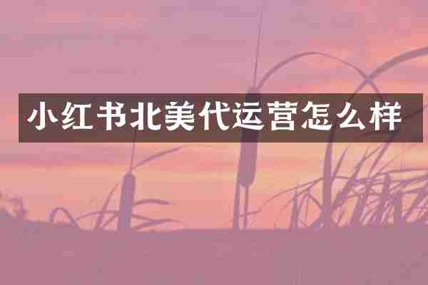 小红书北美代运营怎么样