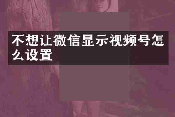 不想让微信显示视频号怎么设置