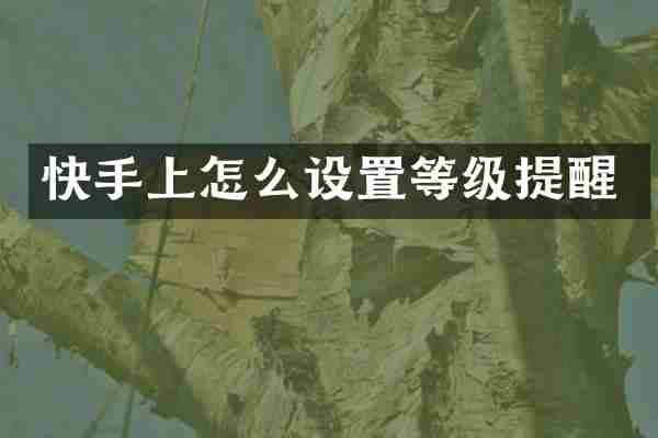 快手上怎么设置等级提醒