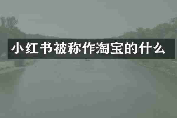 小红书被称作淘宝的什么