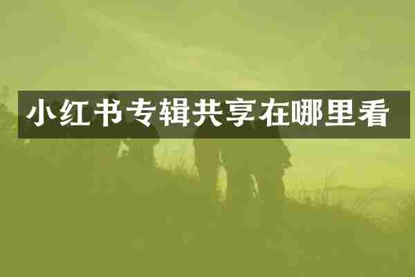 小红书专辑共享在哪里看