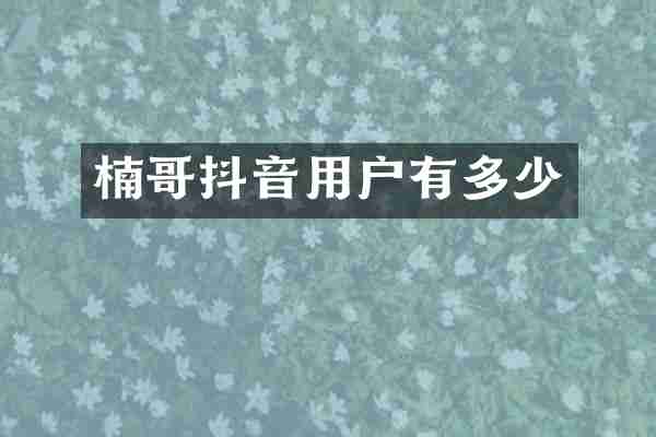 楠哥抖音用户有多少