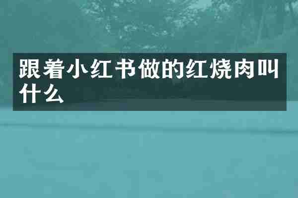 跟着小红书做的红烧肉叫什么