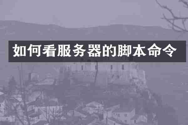 如何看服务器的脚本命令
