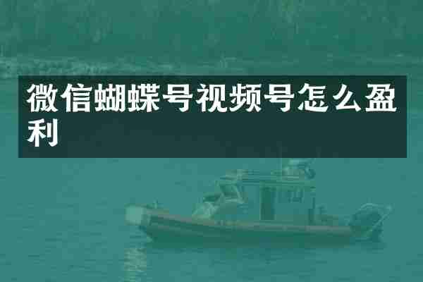 微信蝴蝶号视频号怎么盈利