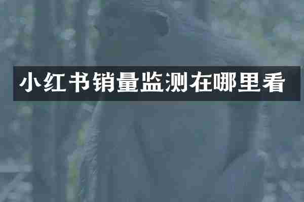 小红书销量监测在哪里看