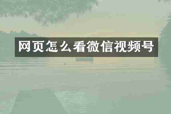 网页怎么看微信视频号
