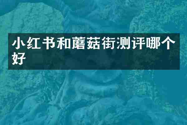 小红书和蘑菇街测评哪个好