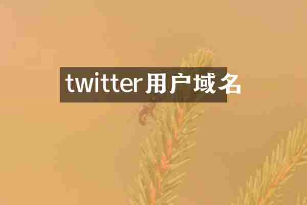 twitter用户域名