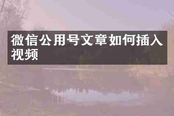微信公用号文章如何插入视频
