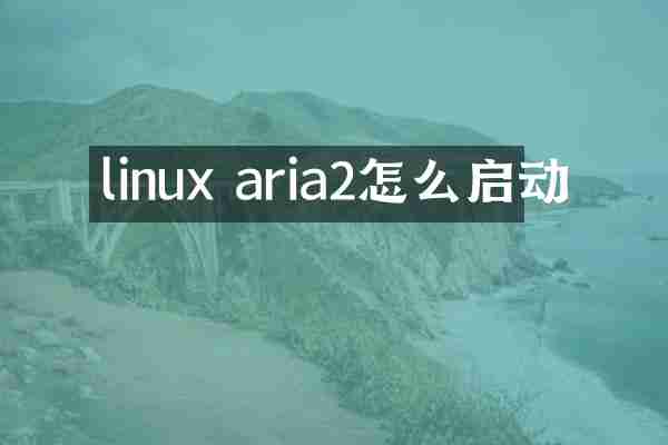 linux aria2怎么启动
