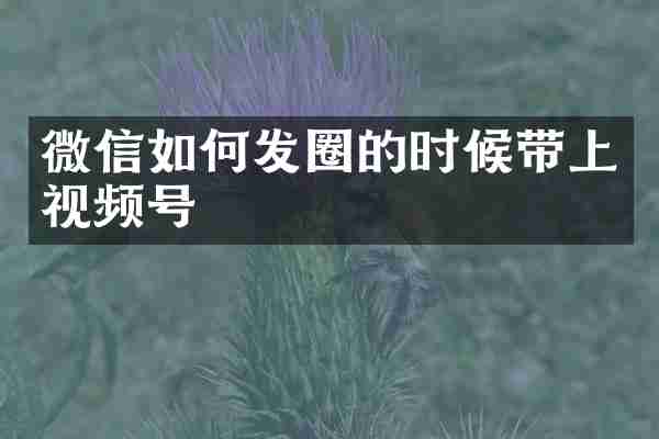 微信如何发圈的时候带上视频号