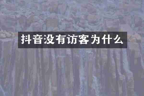 抖音没有访客为什么