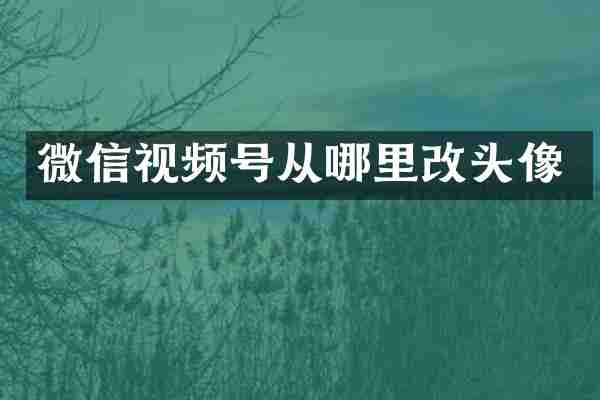 微信视频号从哪里改头像