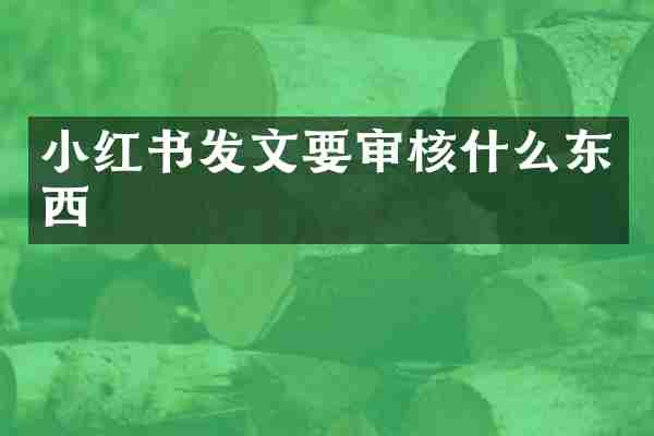 小红书发文要审核什么东西