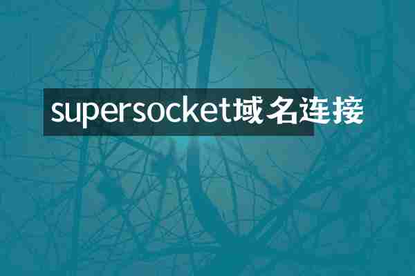 supersocket域名连接
