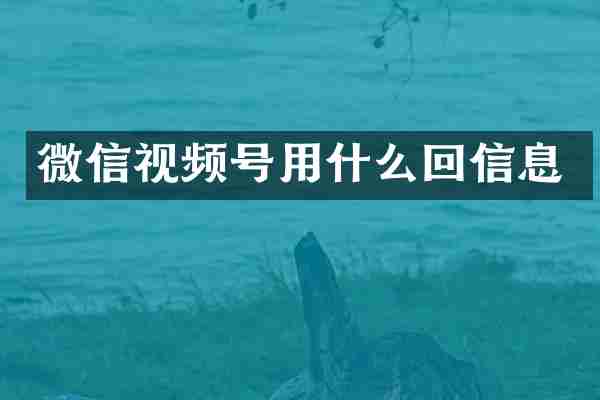 微信视频号用什么回信息