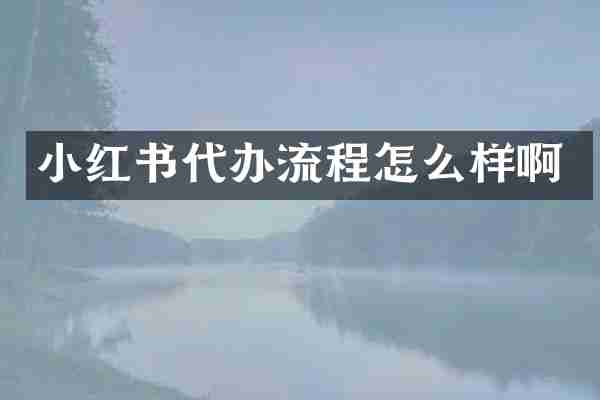 小红书代办流程怎么样啊