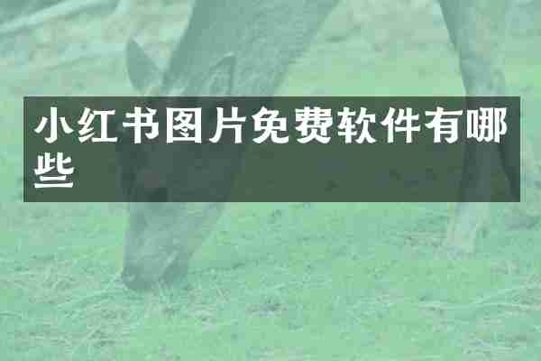 小红书图片免费软件有哪些