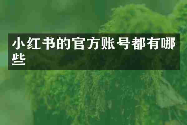 小红书的官方账号都有哪些